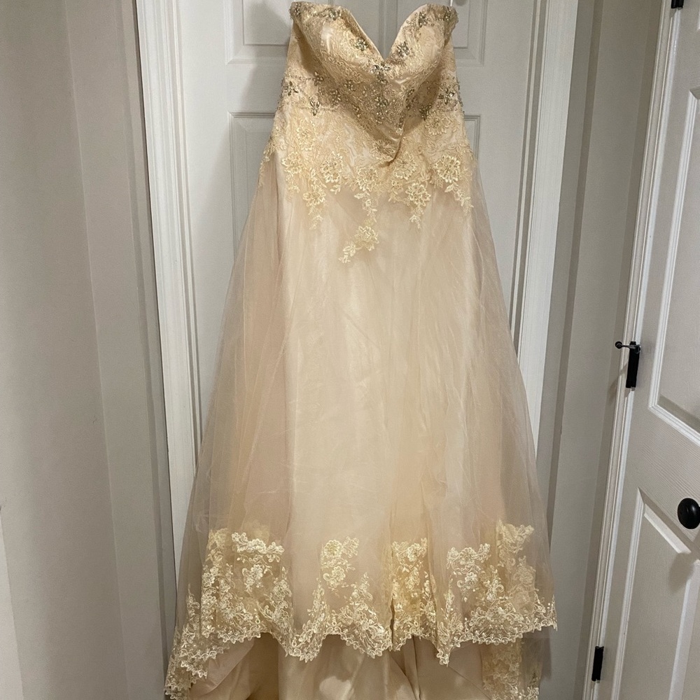 A-Line Evening/Wedding Gown--Champgne/Ivory